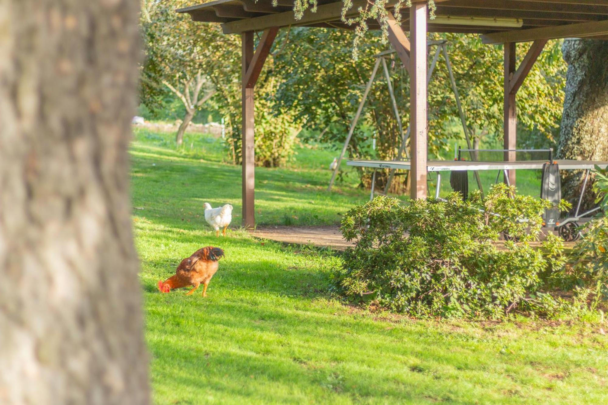 Alloggi Turistici Ai due Cedri Capranica Esterno foto